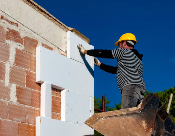 Best Geographic-Specific Insulation Services in Ellisburg, NJ