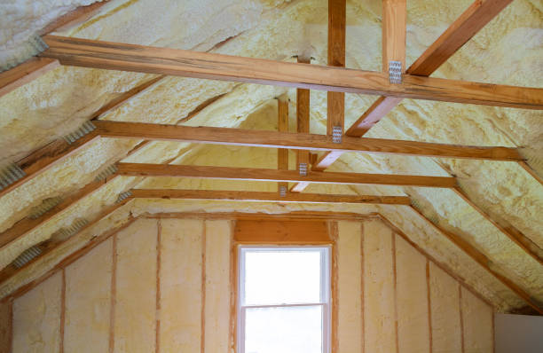 Best Specialized Insulation Services in Ellisburg, NJ