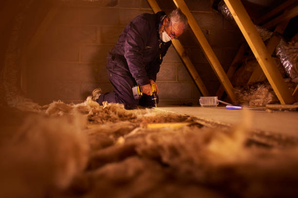 Best Cellulose Insulation in Ellisburg, NJ
