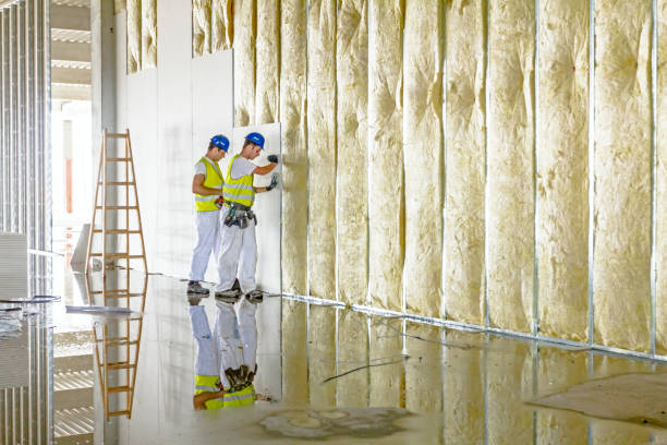 Best Spray Foam Insulation in Ellisburg, NJ